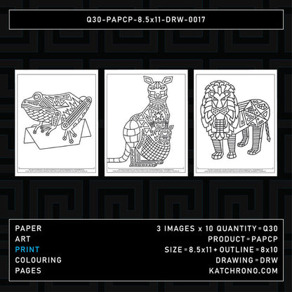 Q30-PAPCP-8.5x11-DRW-0017