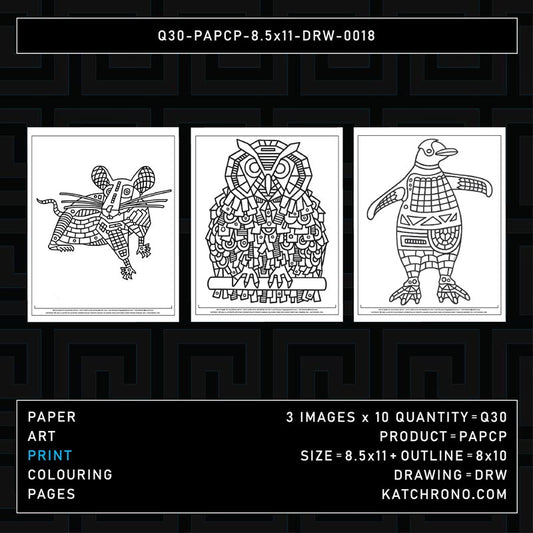 Q30-PAPCP-8.5x11-DRW-0018