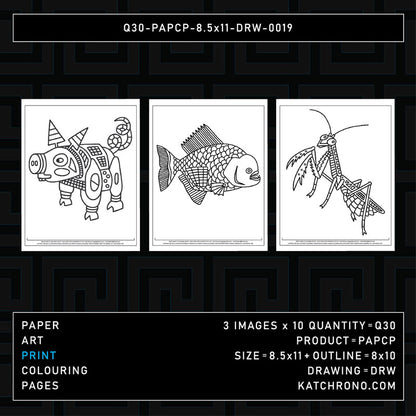 Q30-PAPCP-8.5x11-DRW-0019