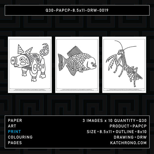 Q30-PAPCP-8.5x11-DRW-0019