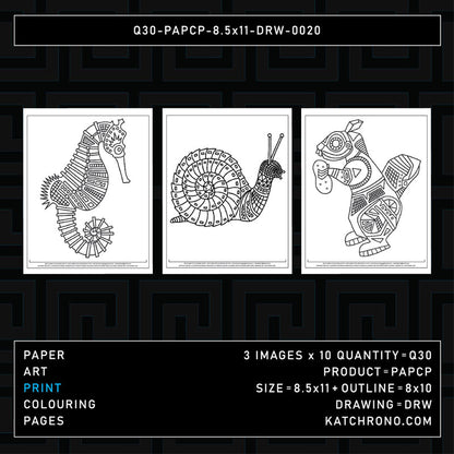 Q30-PAPCP-8.5x11-DRW-0020