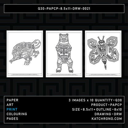 Q30-PAPCP-8.5x11-DRW-0021