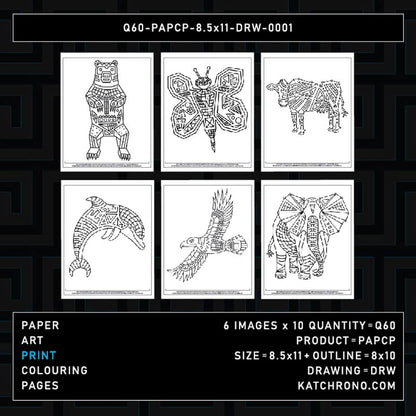 Q60-PAPCP-8.5x11-DRW-0001