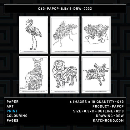 Q60-PAPCP-8.5x11-DRW-0002
