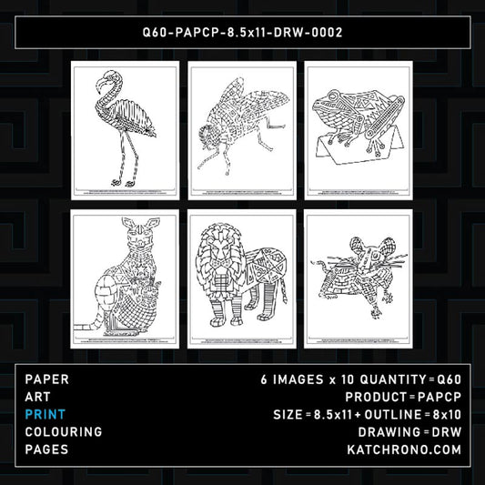 Q60-PAPCP-8.5x11-DRW-0002
