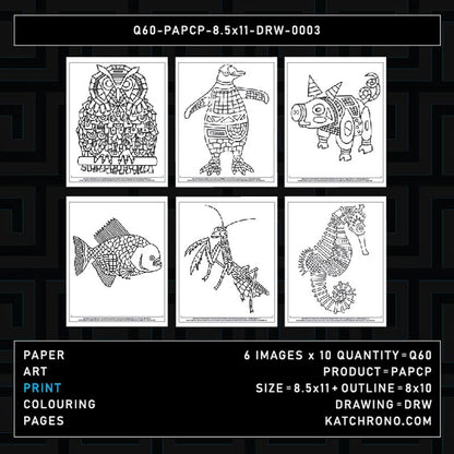 Q60-PAPCP-8.5x11-DRW-0003