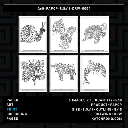 Q60-PAPCP-8.5x11-DRW-0004