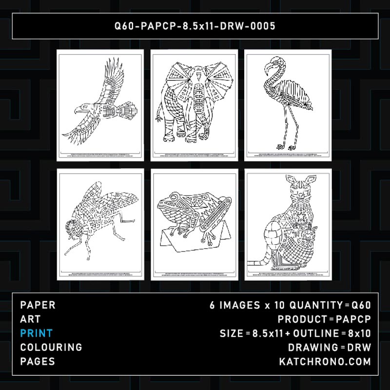 Q60-PAPCP-8.5x11-DRW-0005