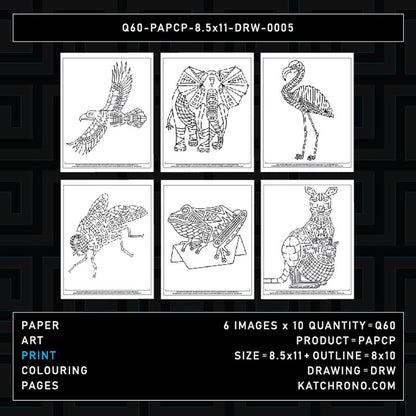 Q60-PAPCP-8.5x11-DRW-0005