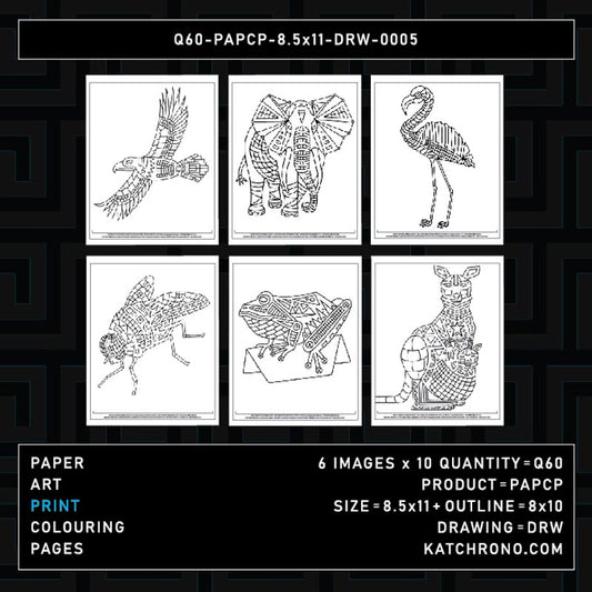 Q60-PAPCP-8.5x11-DRW-0005