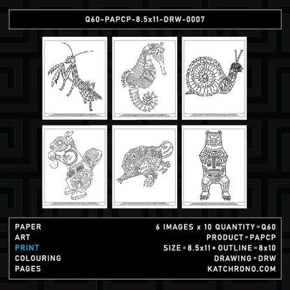 Q60-PAPCP-8.5x11-DRW-0007