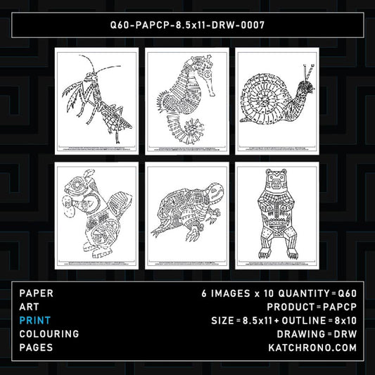 Q60-PAPCP-8.5x11-DRW-0007