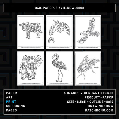 Q60-PAPCP-8.5x11-DRW-0008