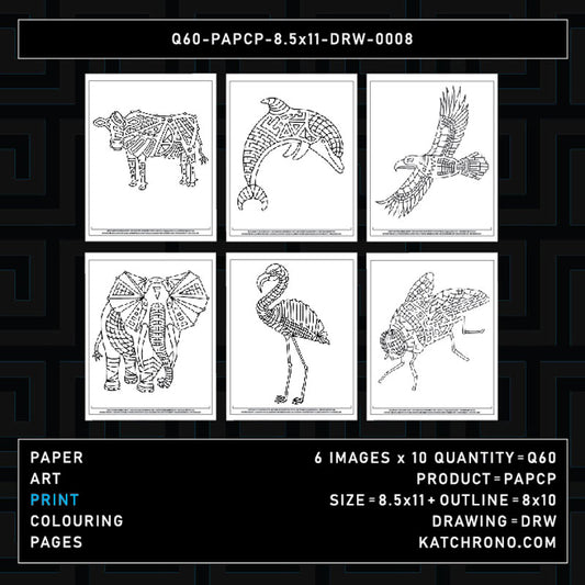 Q60-PAPCP-8.5x11-DRW-0008