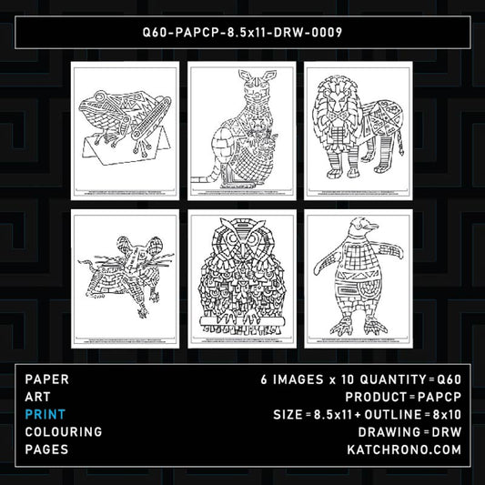 Q60-PAPCP-8.5x11-DRW-0009