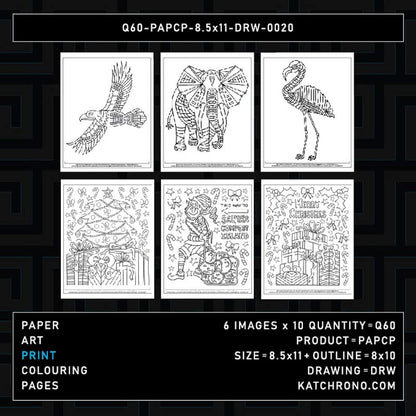Q60-PAPCP-8.5x11-DRW-0020