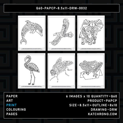 Q60-PAPCP-8.5x11-DRW-0032