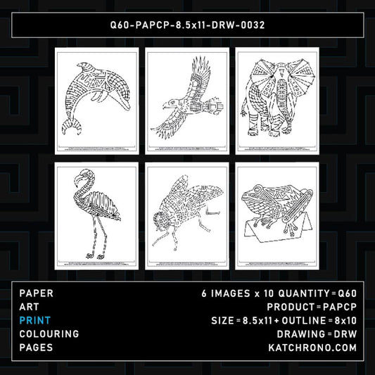 Q60-PAPCP-8.5x11-DRW-0032