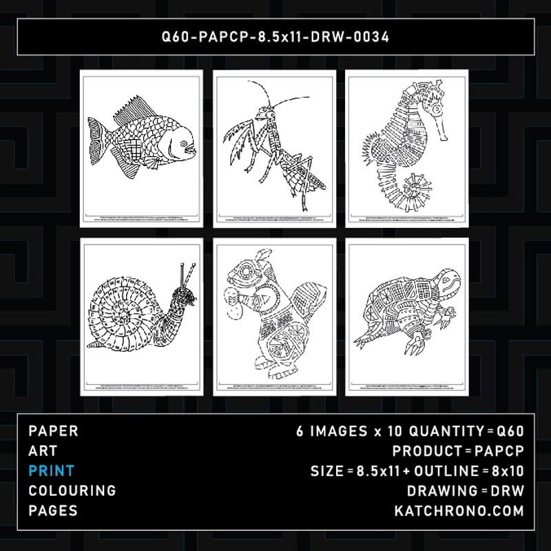 Q60-PAPCP-8.5x11-DRW-0034