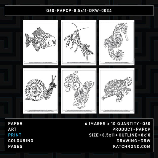 Q60-PAPCP-8.5x11-DRW-0034
