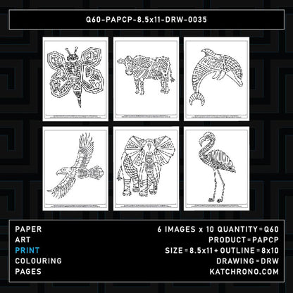 Q60-PAPCP-8.5x11-DRW-0035