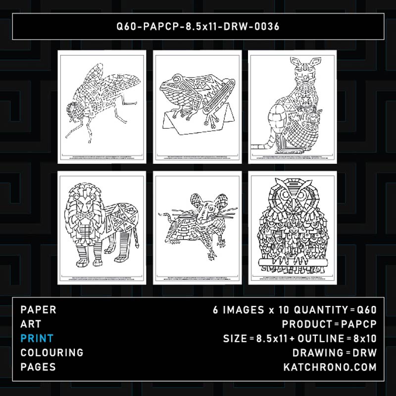 Q60-PAPCP-8.5x11-DRW-0036