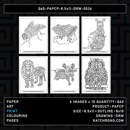 Q60-PAPCP-8.5x11-DRW-0036