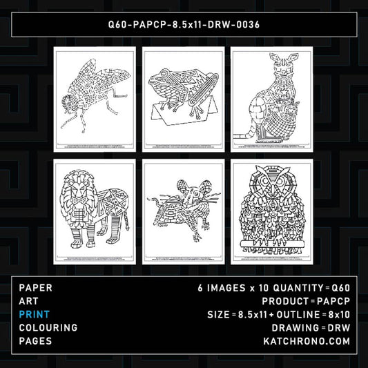 Q60-PAPCP-8.5x11-DRW-0036