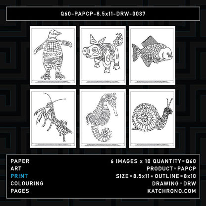 Q60-PAPCP-8.5x11-DRW-0037