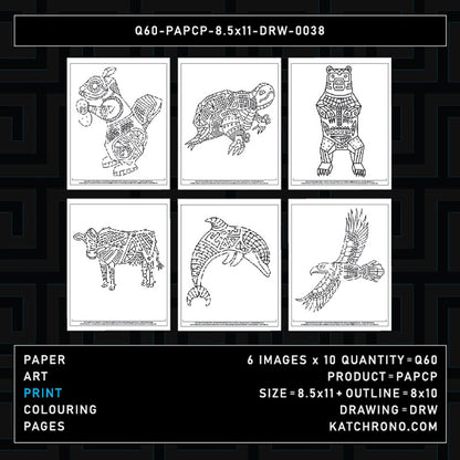 Q60-PAPCP-8.5x11-DRW-0038