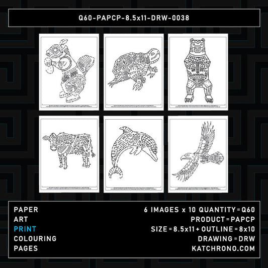 Q60-PAPCP-8.5x11-DRW-0038