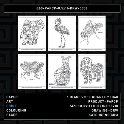 Q60-PAPCP-8.5x11-DRW-0039