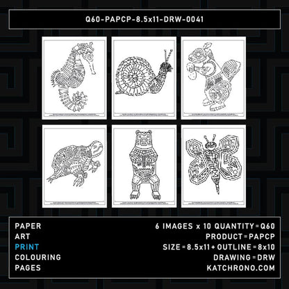 Q60-PAPCP-8.5x11-DRW-0041