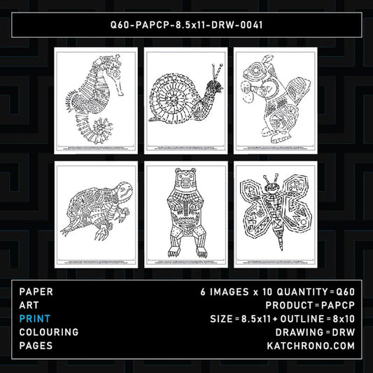Q60-PAPCP-8.5x11-DRW-0041