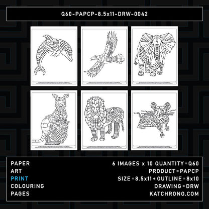 Q60-PAPCP-8.5x11-DRW-0042