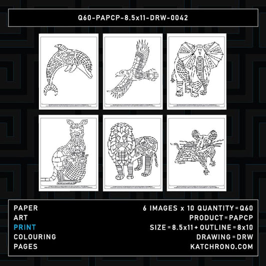 Q60-PAPCP-8.5x11-DRW-0042