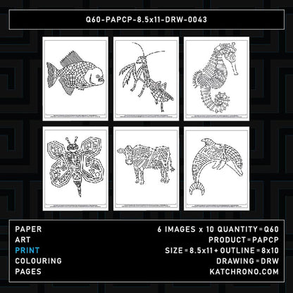 Q60-PAPCP-8.5x11-DRW-0043