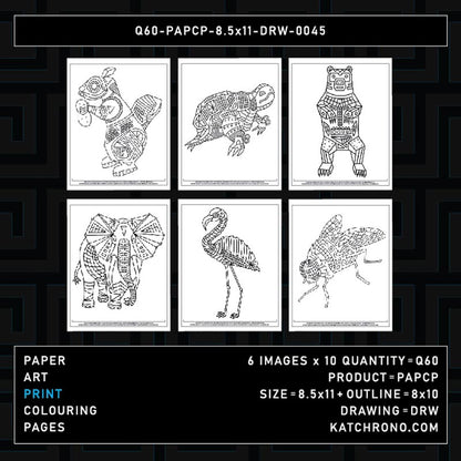 Q60-PAPCP-8.5x11-DRW-0045