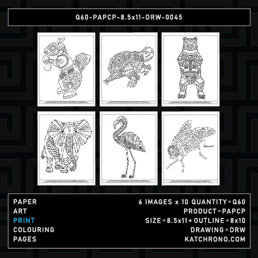 Q60-PAPCP-8.5x11-DRW-0045