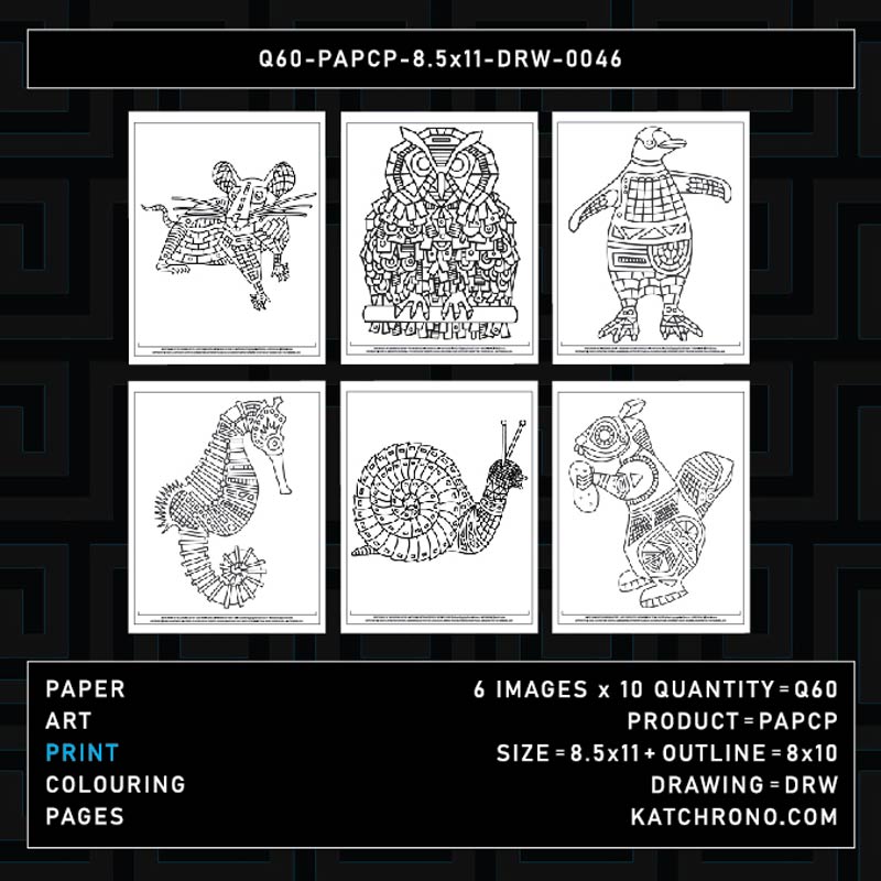 Q60-PAPCP-8.5x11-DRW-0046