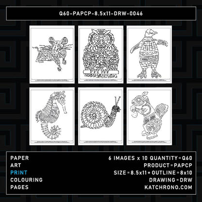 Q60-PAPCP-8.5x11-DRW-0046