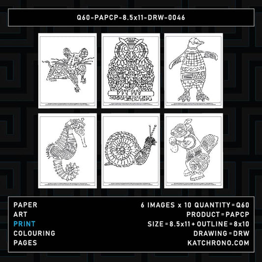 Q60-PAPCP-8.5x11-DRW-0046
