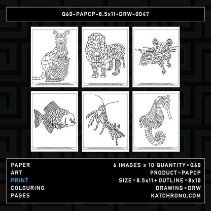 Q60-PAPCP-8.5x11-DRW-0047