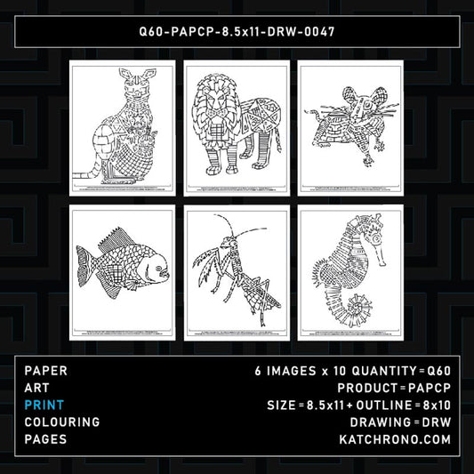 Q60-PAPCP-8.5x11-DRW-0047