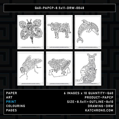 Q60-PAPCP-8.5x11-DRW-0048