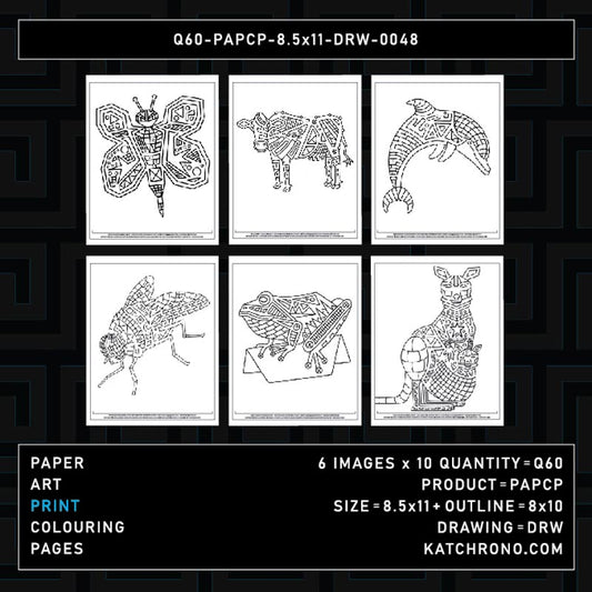 Q60-PAPCP-8.5x11-DRW-0048