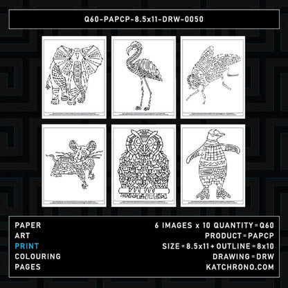 Q60-PAPCP-8.5x11-DRW-0050