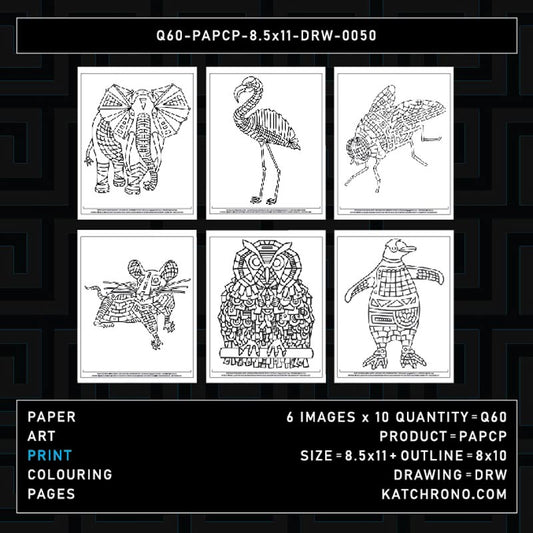 Q60-PAPCP-8.5x11-DRW-0050