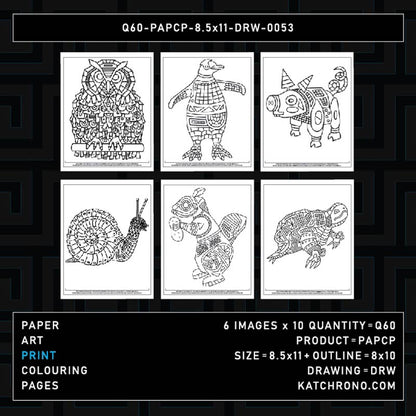 Q60-PAPCP-8.5x11-DRW-0053