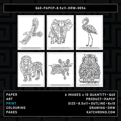 Q60-PAPCP-8.5x11-DRW-0054